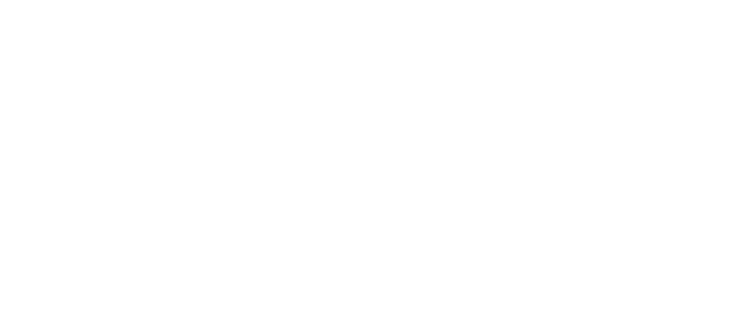 datawise light.png